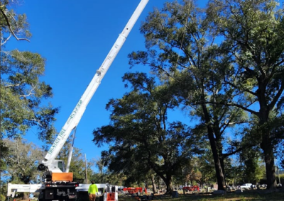 Commercial Tree Removal Pensacola FL