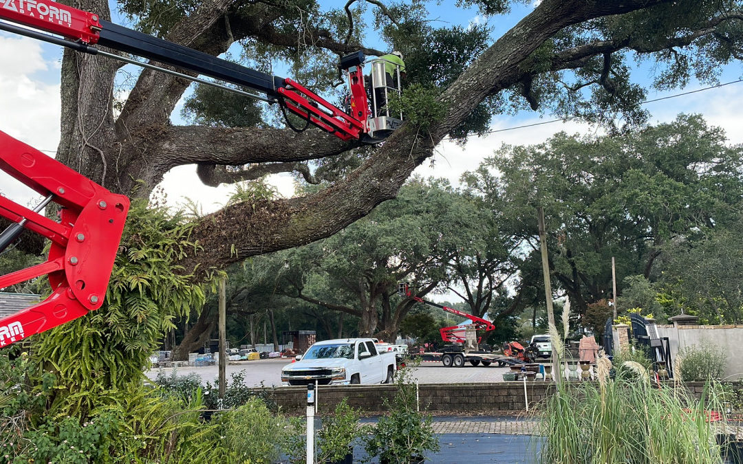 Expert Tree Service Offers Commercial Tree Services in NW Florida and SE Alabama