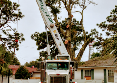 Emergency Tree Services Pensacola FL