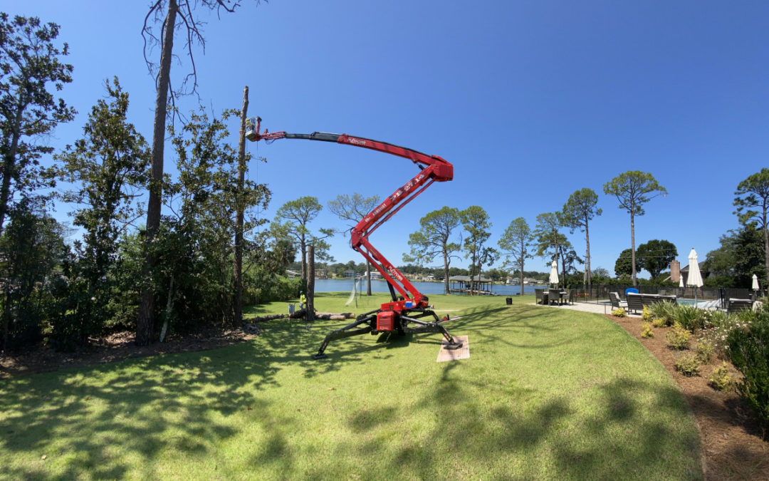 Tri-State Tree Service offers Expert Tree Service in Panama City Beach, FL