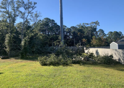 Tree Removal Crawfordville FL