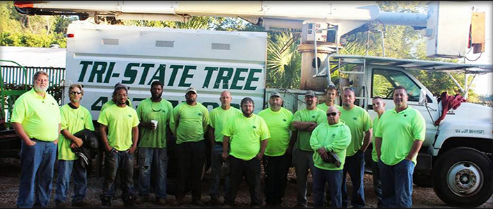 Tri-State-Tree-Care-Team
