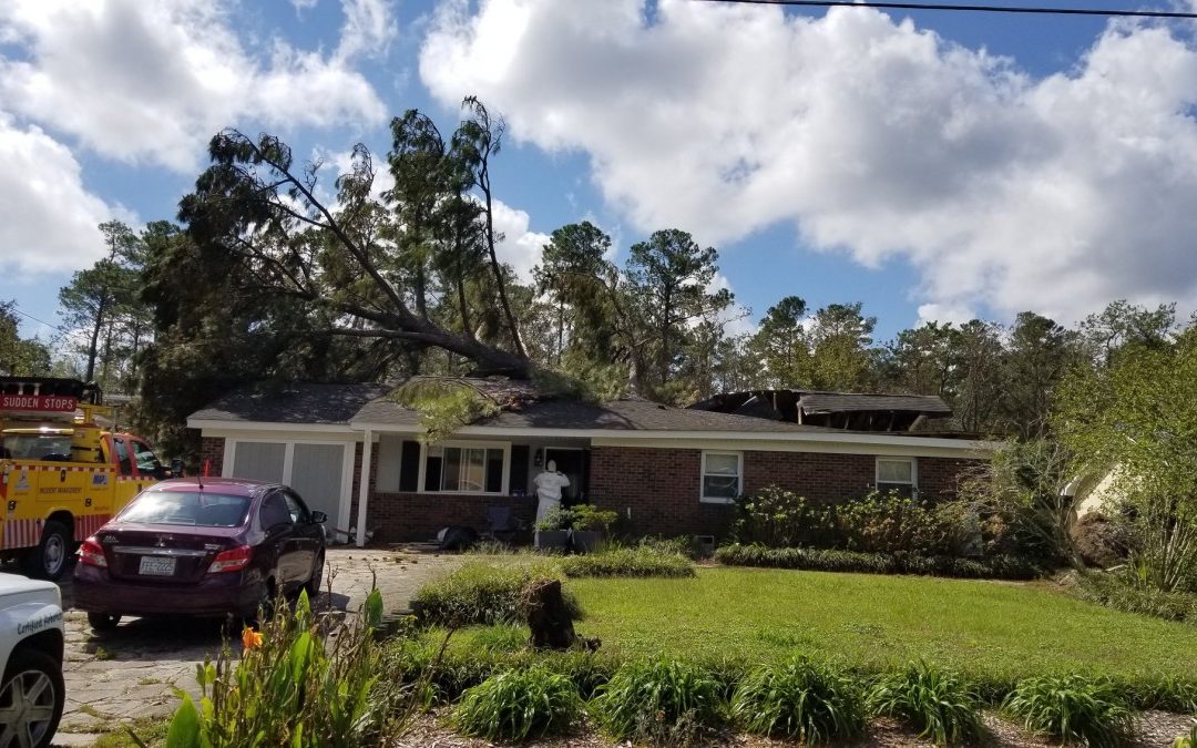 Emergency Tree Services Available in Milton, FL