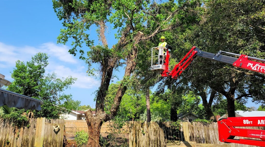 Do You Need a Permit To Remove a Tree in Mary Esther, FL?