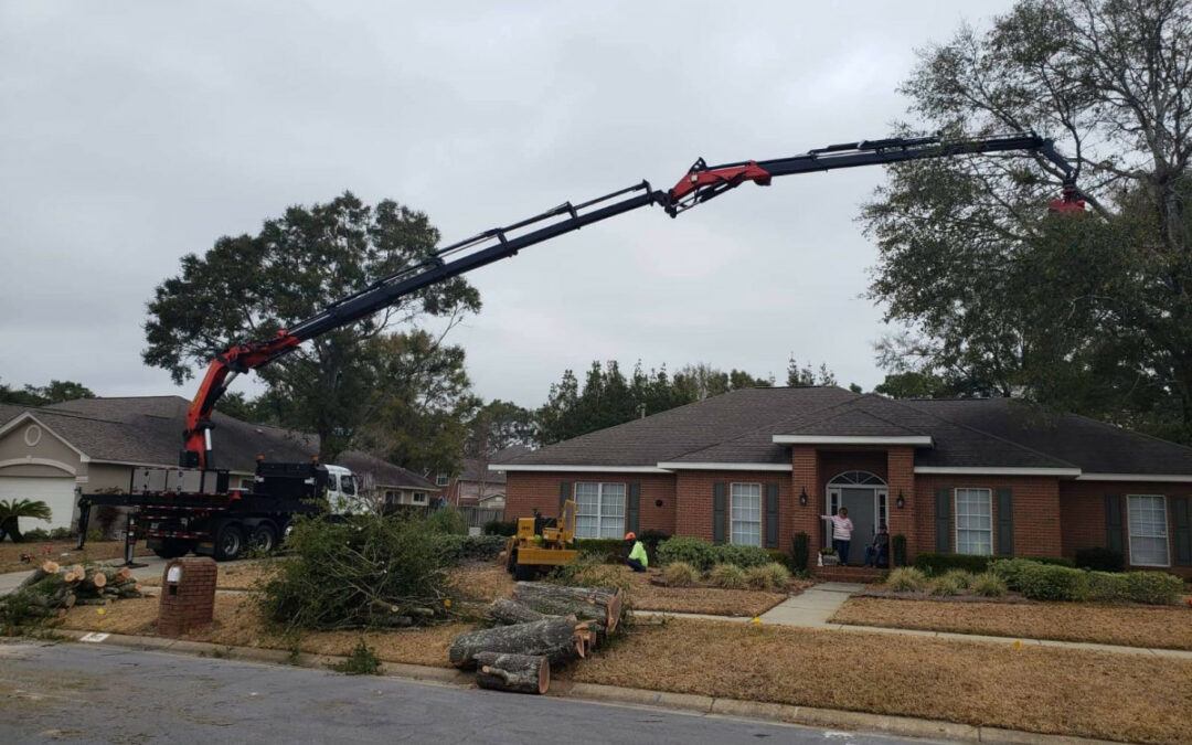 Tri-State Tree Service Available for Tallahassee FL Emergency Tree Service Needs