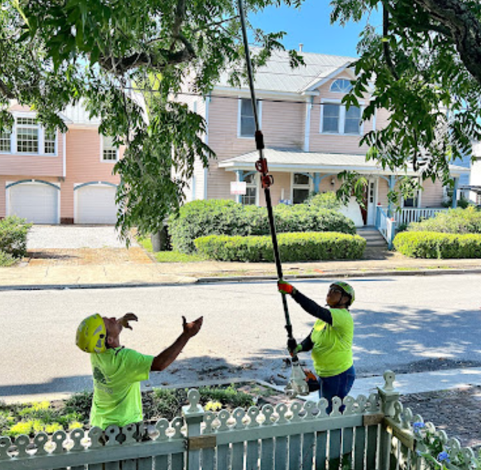 Tree Service Professionals in Panama City Beach, FL, Share Fall Tree Care Tips