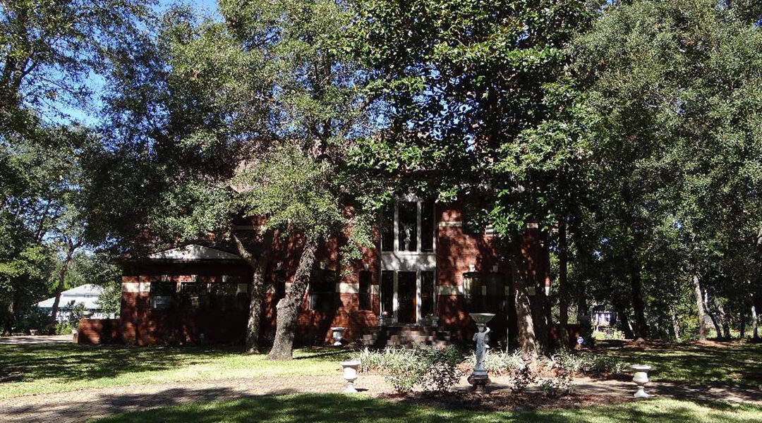 What To Do When Tree Branches Hang Over Your Roof in Quincy, FL